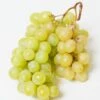Himrod Seedless Grape -The Orchard Zone himrod grape