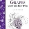 Great Grapes -The Orchard Zone httpraintreenursery.netps180
