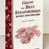 Grow The Best Strawberries -The Orchard Zone httpraintreenursery.netps200