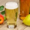 Gloucester Select Perry Cider Bundle (6 Trees) -The Orchard Zone shutterstock 196560821