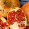Sweet Pomegranate -The Orchard Zone sweet
